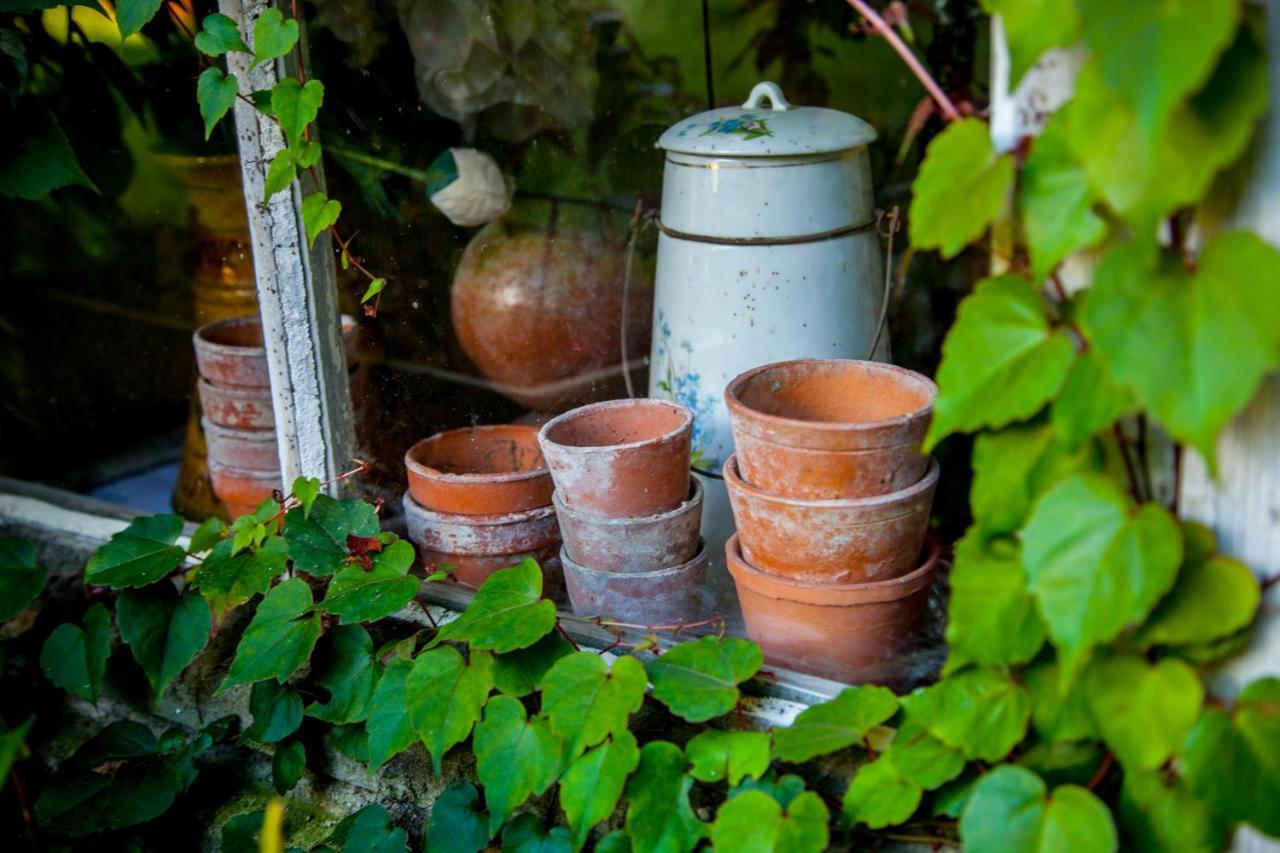 Jardin Et Hotel Particulier Bayeux Zewnętrze zdjęcie